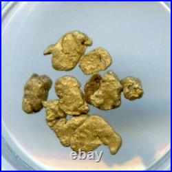 1857 S. S. Central America California Gold Rush Nuggets PCGS/Collectors Universe