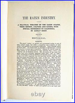1890 RAISIN GRAPE INDUSTRY California VINEYARDS, Cultivation, Curing ILLUSTRATED