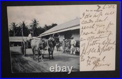 1906 Jamaica Postcard Cover Kingston to San Francisco California to Ashfield NSW