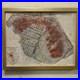 1906_SAN_FRANCISCO_BURNED_DISTRICT_Map_ORIGINAL_LAIRD_LEE_With_Postcard_01_ik