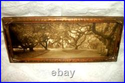 1910 Willard Worden Embossed Sepia Photograph Le Conte Oak Trees Berkeley Framed