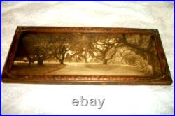 1910 Willard Worden Embossed Sepia Photograph Le Conte Oak Trees Berkeley Framed
