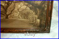 1910 Willard Worden Embossed Sepia Photograph Le Conte Oak Trees Berkeley Framed
