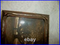 1910 Willard Worden Embossed Sepia Photograph Le Conte Oak Trees Berkeley Framed