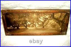 1910 Willard Worden Embossed Sepia Photograph Le Conte Oak Trees Berkeley Framed