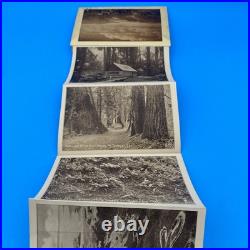 1912 Mt. Tamalpais & Muir Woods Souvenir Fold-Out Edward H. Mitchell, Postmark 1912 Mt. Tamalpais & Muir Woods Souvenir Fold-Out Edward H. Mitchell, Postmark