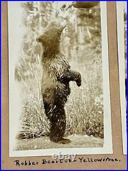 1920s Travel Photo Album TEXAS ALAMO PIKES PEAK YOSEMITE & YELLOWSTONE +MORE 1920s Travel Photo Album TEXAS ALAMO PIKES PEAK YOSEMITE & YELLOWSTONE +MORE