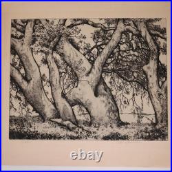 1930s Alfred Ray Burrell Etching Oak Tree San Francisco California Impressionist