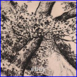 1930s Alfred Ray Burrell Etching Oak Tree San Francisco California Impressionist