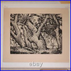 1930s Alfred Ray Burrell Etching Oak Tree San Francisco California Impressionist