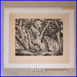 1930s Alfred Ray Burrell Etching Oak Tree San Francisco California Impressionist