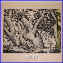 1930s Alfred Ray Burrell Etching Oak Tree San Francisco California Impressionist