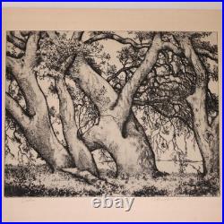 1930s Alfred Ray Burrell Etching Oak Tree San Francisco California Impressionist
