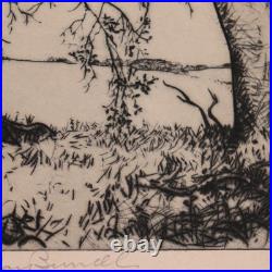 1930s Alfred Ray Burrell Etching Oak Tree San Francisco California Impressionist