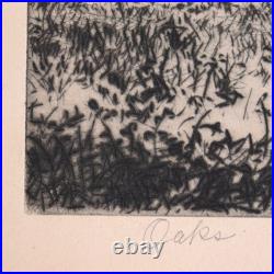 1930s Alfred Ray Burrell Etching Oak Tree San Francisco California Impressionist