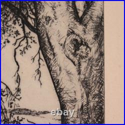 1930s Alfred Ray Burrell Etching Oak Tree San Francisco California Impressionist