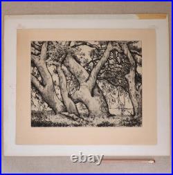 1930s Alfred Ray Burrell Etching Oak Tree San Francisco California Impressionist