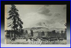 4 Early California Photographs by W. J Piatt Monterey, Carmel Mission C. 1900