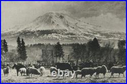 4 Early California Photographs by W. J Piatt Monterey, Carmel Mission C. 1900