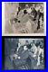 BEAT_POETRY_HOWL_OBSCENE_TRIAL_LAWRENCE_FERLINGHETTI_SEXUAL_Rare_NEGATIVES_1957_01_ceum