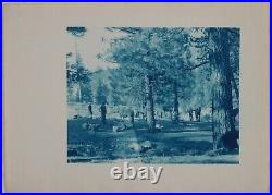 CALIFORNIA-YOSEMITE-ALASKA Collection of 28 Rare Early Cyanotypes. Ca. 1900s