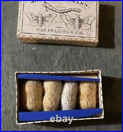 C. 1870 Splendid Antique Box Silk Cocoons Joseph Neumann San Francisco California