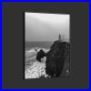 Carol_Highsmith_The_Point_Bonita_Lighthouse_San_Francisco_California_Print_01_gvhv