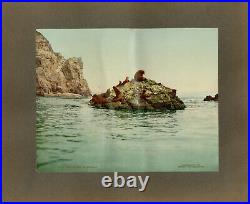 Cliff House San Francisco Seal Rocks California Original Detroit Photographic