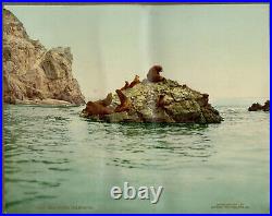 Cliff House San Francisco Seal Rocks California Original Detroit Photographic