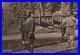 Darjeeling_Dandy_Bearers_793rd_Bomb_1945_US_Army_APO_Free_WW2_WWII_Postcard_01_jylz