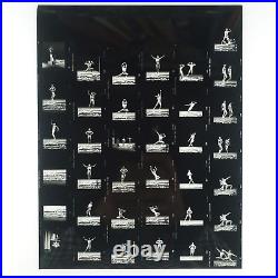 Gay Games Bodybuilder Contact Sheet 1980s San Francisco Beefcake Muscle Men B417