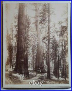 Isaíah West Taber San Francisco California Yosemite Valle album Photo Photograph
