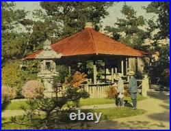 Japanese Tea Garden San Francisco, CA. Used Post Card/Posted 3/22/1917