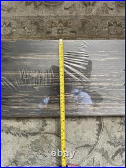 Jay Howell Skateboard San Francisco California We Ride At Night 32x8.5