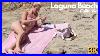 Laguna_Beach_California_4k_01_usq
