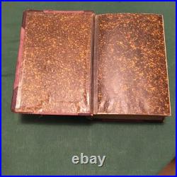 MUSEUM OF ANTIQUITY ILLUSTRATED A Description of Ancient Life 1884 Very Good