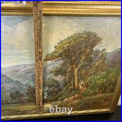 Marguerite Freytag Ciprico (SIGNED) 1940 Oil On Board Painting CA Coastal Trees