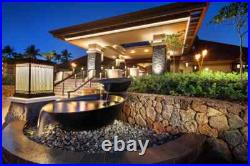 Marriott Vacation Club Bonvoy Points Ritz-Carlton Club San Francisco California