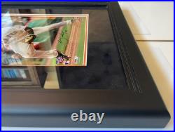 PhotoFile SF Giants framed Pablo Sandoval (signed with/COA). FREE S/H! Cool