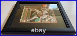 PhotoFile SF Giants framed Pablo Sandoval (signed with/COA). FREE S/H! Cool