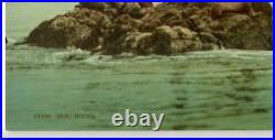Photochrome USA Seal Rocks San Francisco California William Henry Jackson
