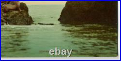 Photochrome USA Seal Rocks San Francisco California William Henry Jackson
