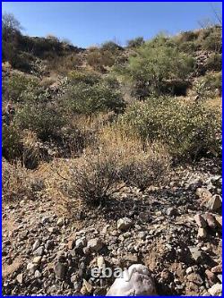Placer gold mining claims for sale Wickenburg, AZ