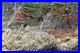 Point_Lobos_Triptych_1_Set_Of_3_Photographic_Prints_01_il