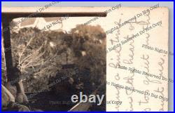 RPPC 1909 woman in hammock on porch Santa Cruz California Real Photo Postcard