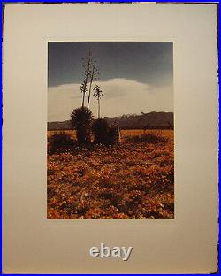 Ruffin Cooper Original'73 Photo of California Desert Noted San Francisco Artist Ruffin Cooper Original'73 Photo of California Desert Noted San Francisco Artist