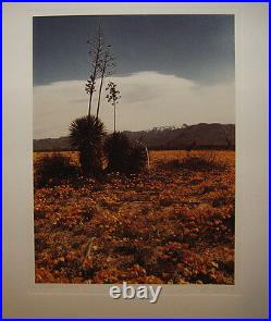 Ruffin Cooper Original'73 Photo of California Desert Noted San Francisco Artist Ruffin Cooper Original'73 Photo of California Desert Noted San Francisco Artist