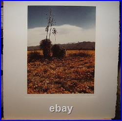 Ruffin Cooper Original'73 Photo of California Desert Noted San Francisco Artist Ruffin Cooper Original'73 Photo of California Desert Noted San Francisco Artist