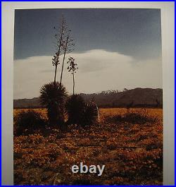 Ruffin Cooper Original'73 Photo of California Desert Noted San Francisco Artist Ruffin Cooper Original'73 Photo of California Desert Noted San Francisco Artist
