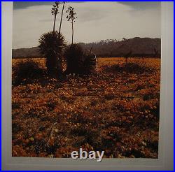 Ruffin Cooper Original'73 Photo of California Desert Noted San Francisco Artist Ruffin Cooper Original'73 Photo of California Desert Noted San Francisco Artist